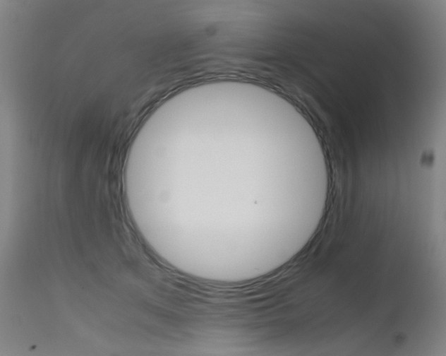 X0000112970513200908270946