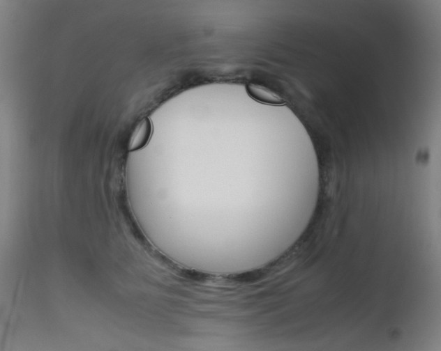 X0000112970515200908270946