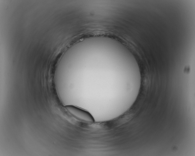 X0000112970516200908270946