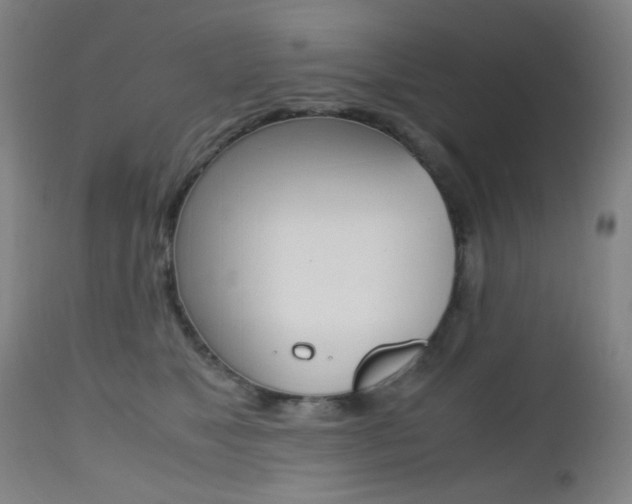 X0000112970517200908270946