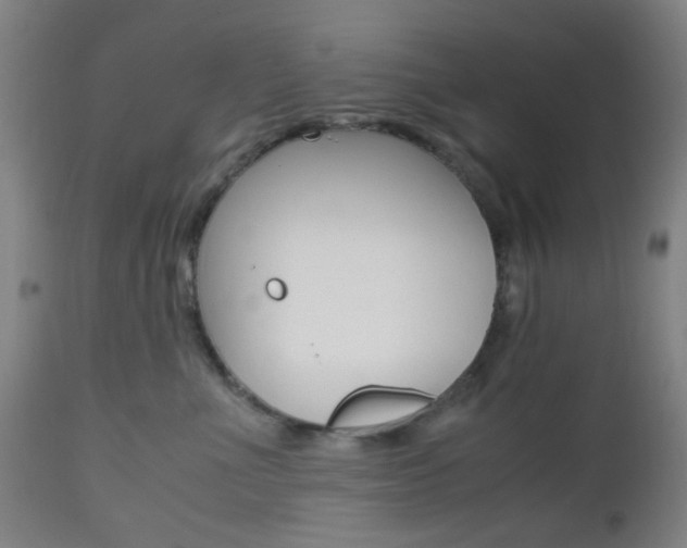 X0000112970523200908270946