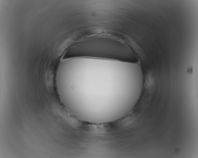 X0000112970524200908270946
