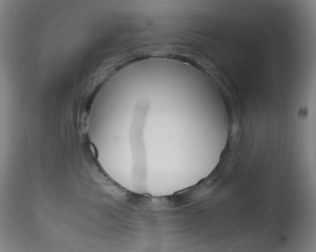 X0000112970525200908270946