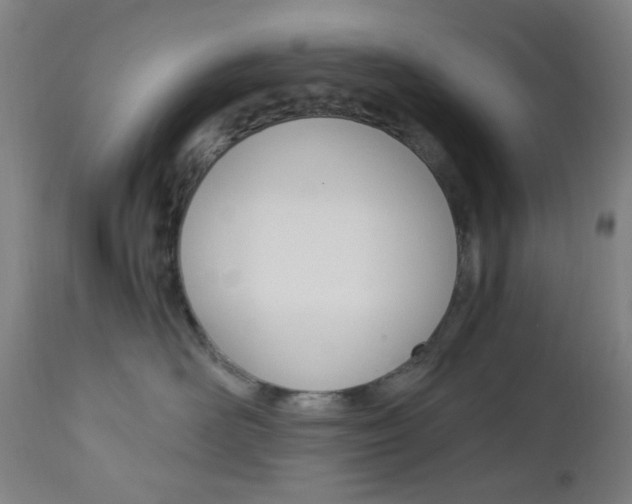 X0000112970526200908270946