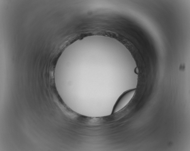 X0000112970527200908270946