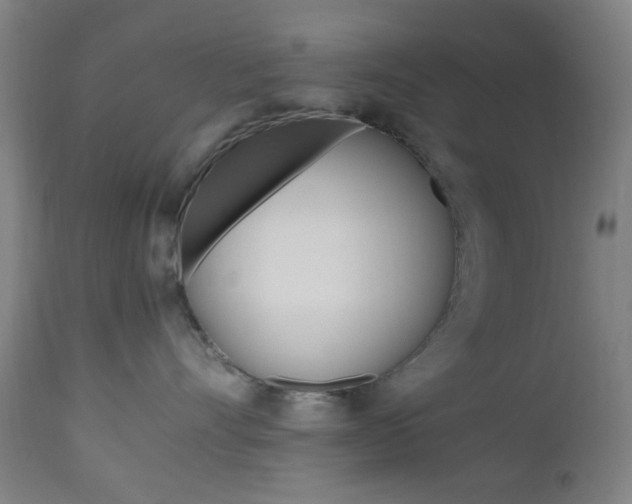 X0000112970528200908270946