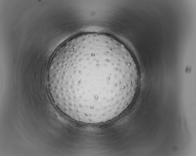 X0000112970529200908270945