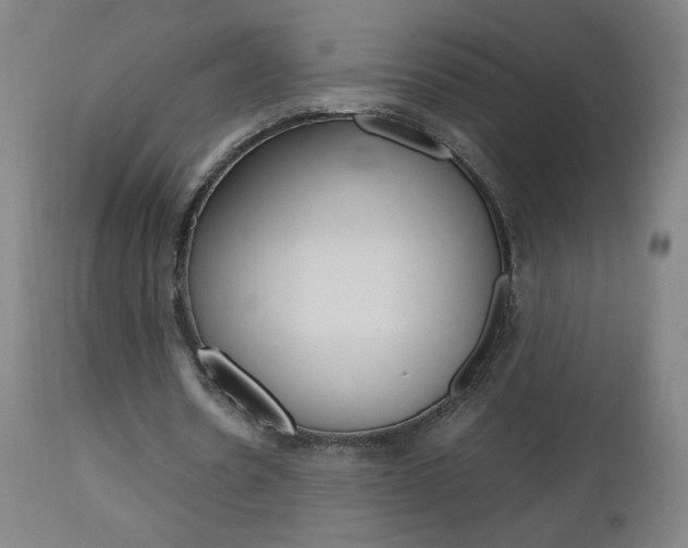 X0000112970530200908270945