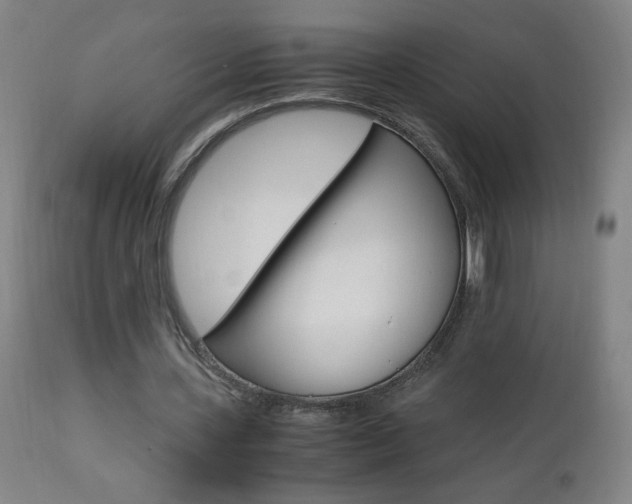 X0000112970531200908270945