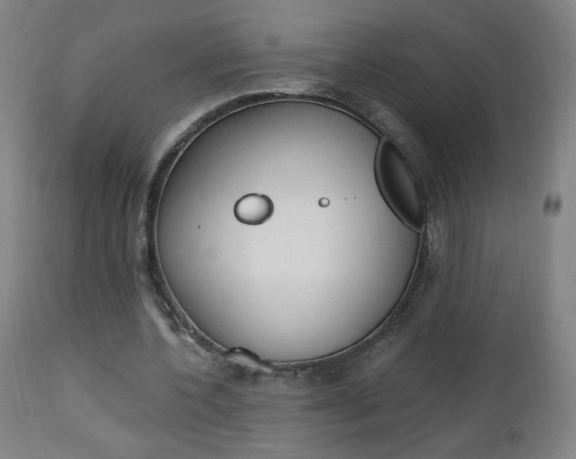 X0000112970532200908270945
