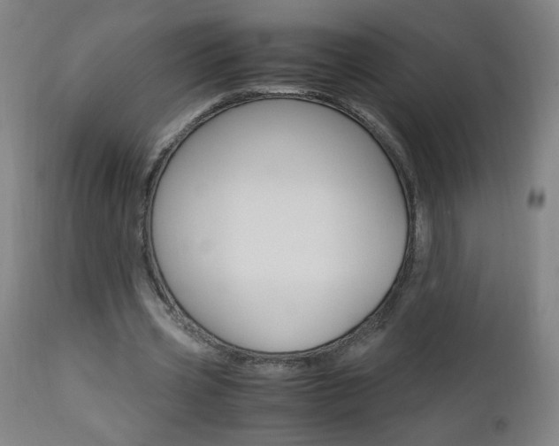 X0000112970533200908270945