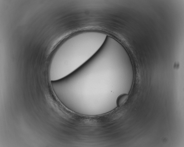 X0000112970535200908270945