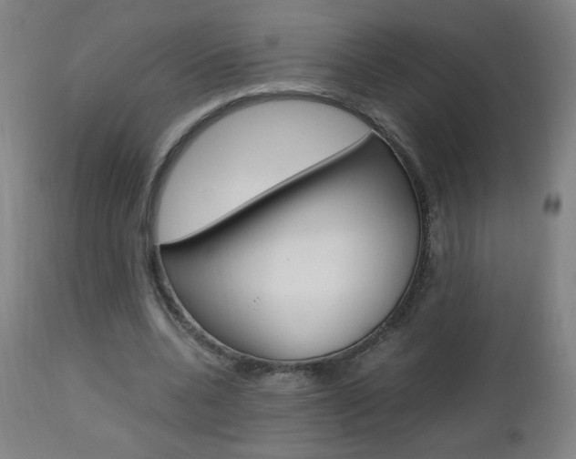 X0000112970536200908270945