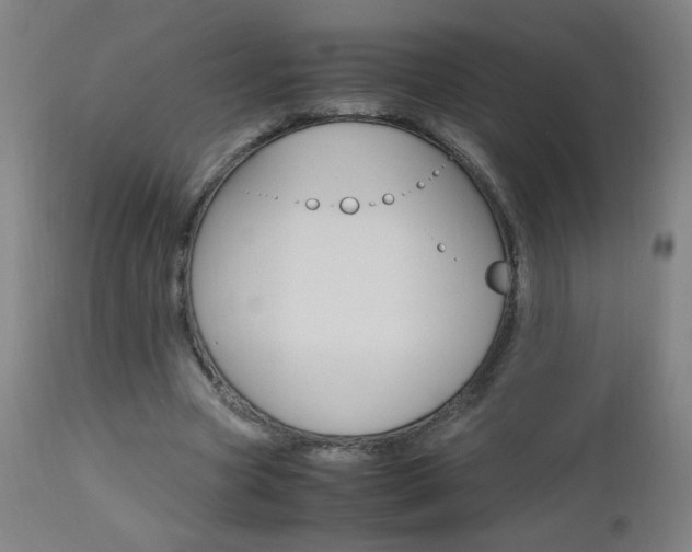 X0000112970537200908270945