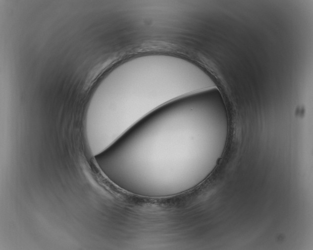 X0000112970538200908270945