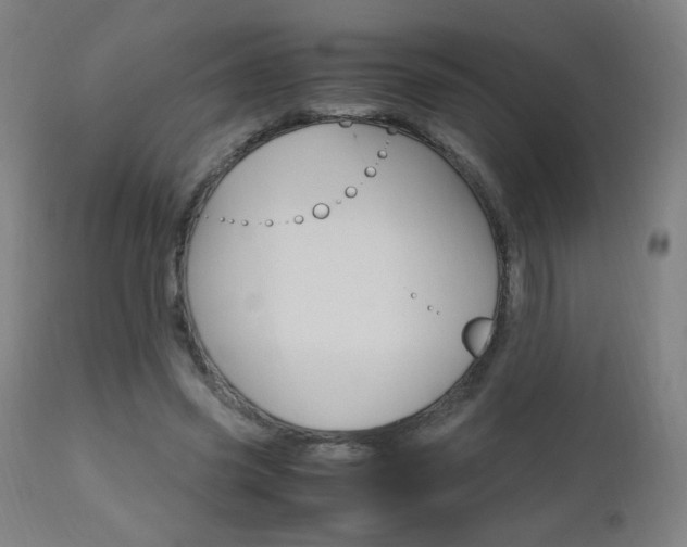 X0000112970541200908270945