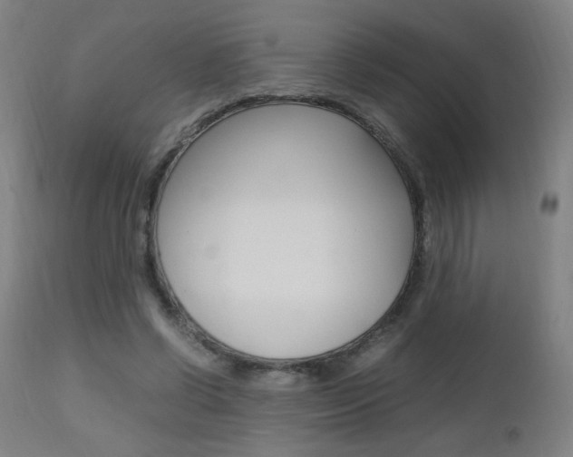 X0000112970542200908270945