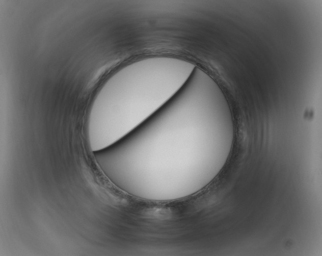 X0000112970543200908270945