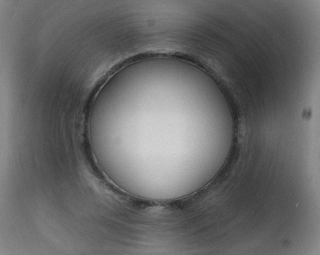 X0000112970544200908270945