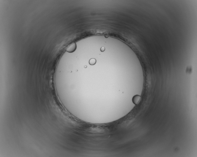 X0000112970545200908270945