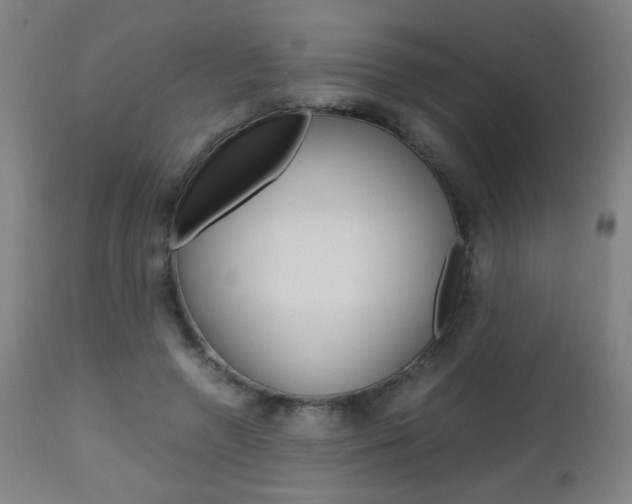 X0000112970546200908270945