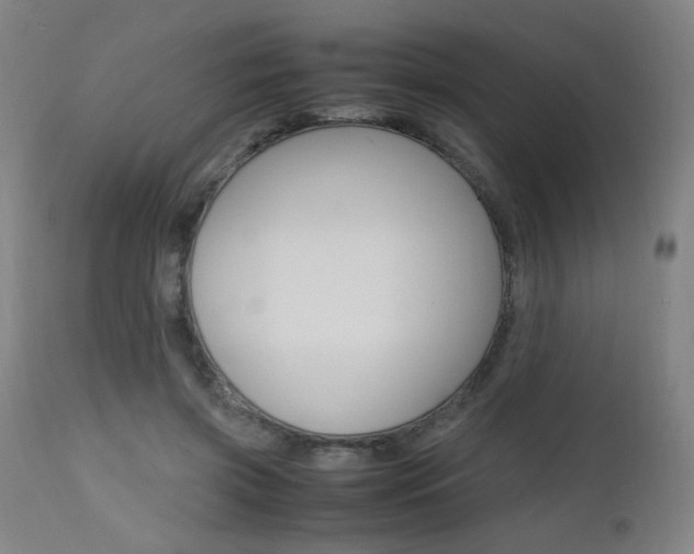 X0000112970549200908270946