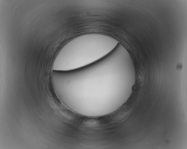 X0000112970551200908270946