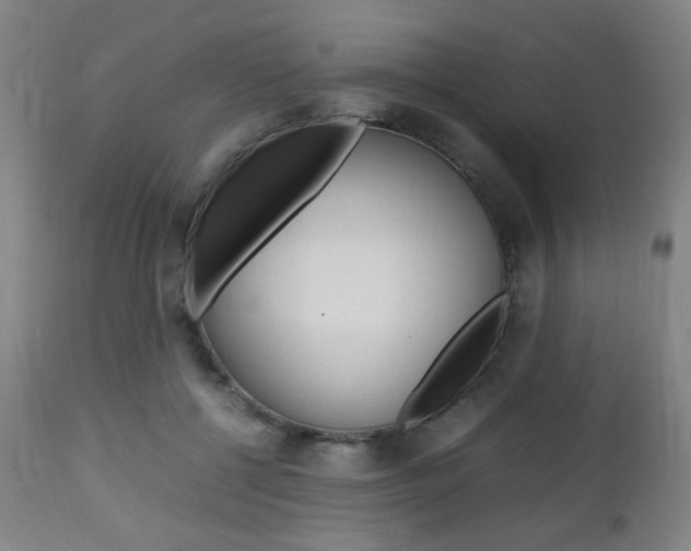 X0000112970552200908270946