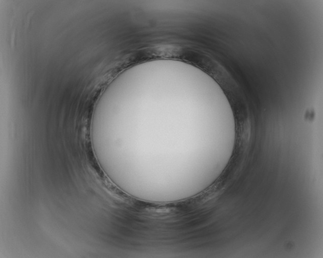 X0000112970553200908270946