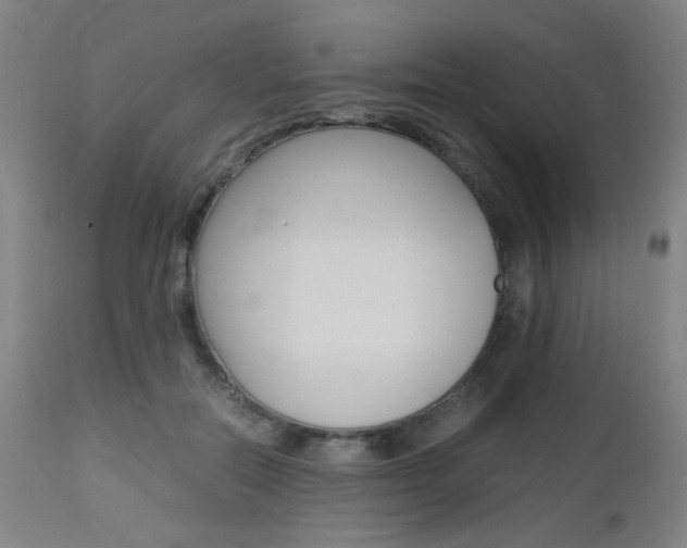 X0000112970554200908270946