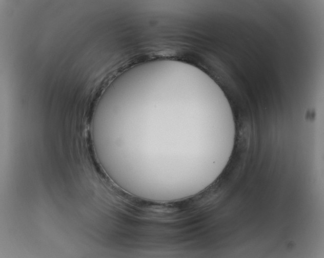 X0000112970555200908270946