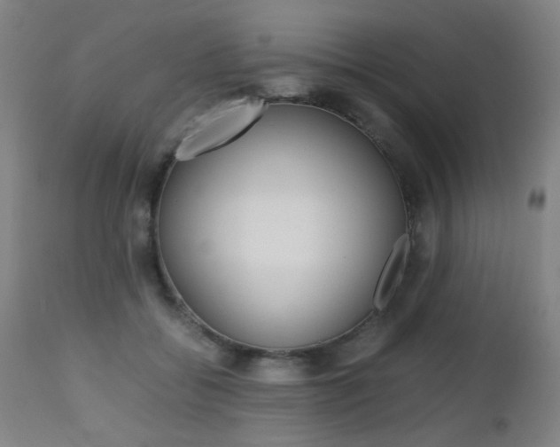 X0000112970556200908270946