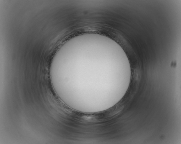 X0000112970557200908270946