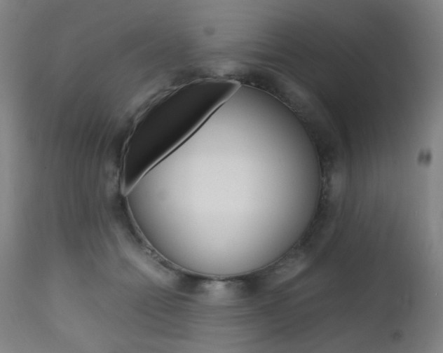 X0000112970558200908270946