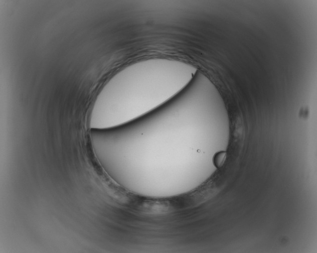 X0000112970559200908270946