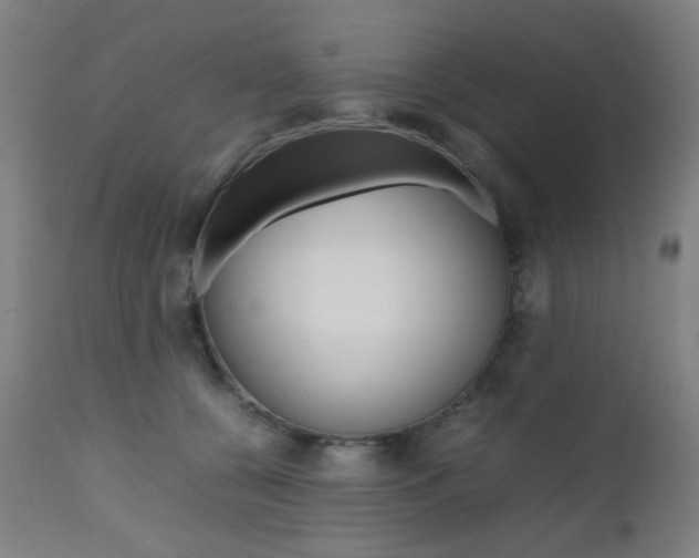 X0000112970560200908270946