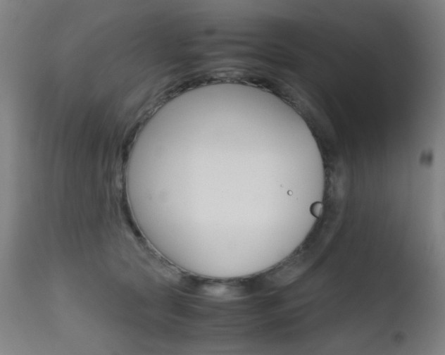 X0000112970561200908270946