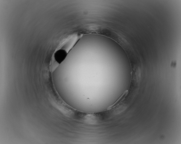 X0000112970562200908270946