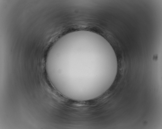 X0000112970563200908270946