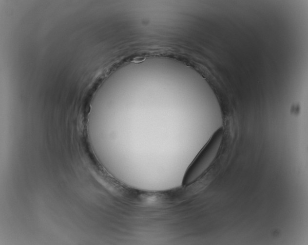 X0000112970564200908270946