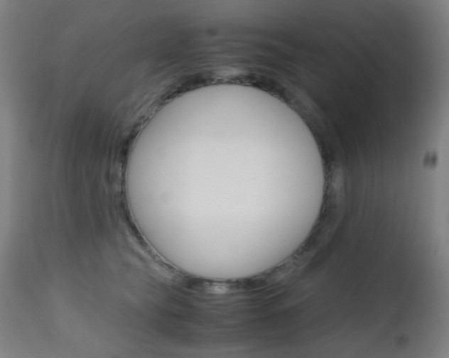 X0000112970565200908270946