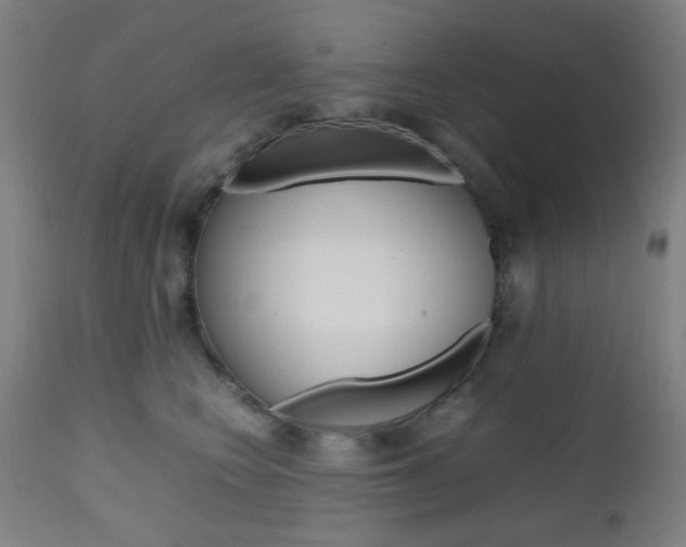 X0000112970566200908270946