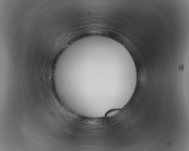 X0000112970567200908270946