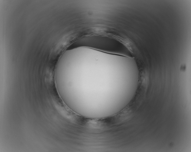 X0000112970568200908270946