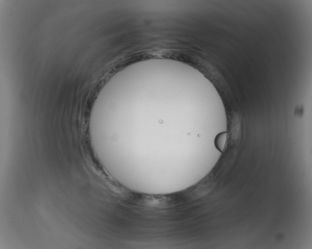 X0000112970569200908270946