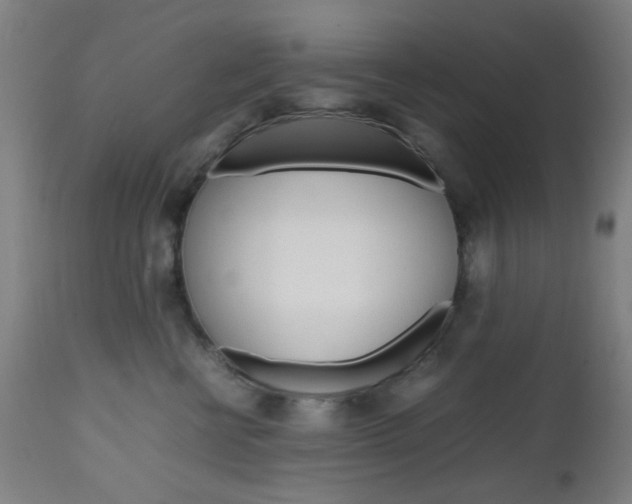 X0000112970570200908270946
