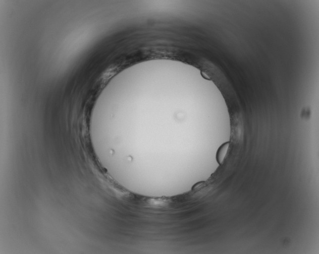 X0000112970573200908270946