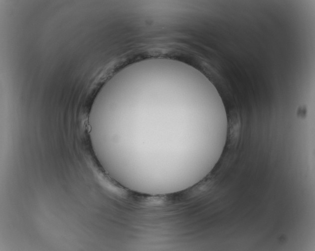 X0000112970574200908270946
