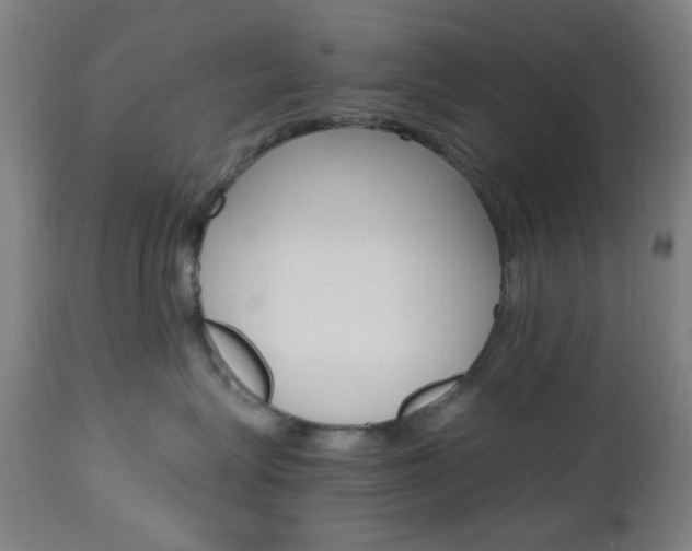 X0000112970575200908270946
