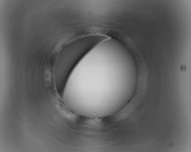 X0000112970576200908270946